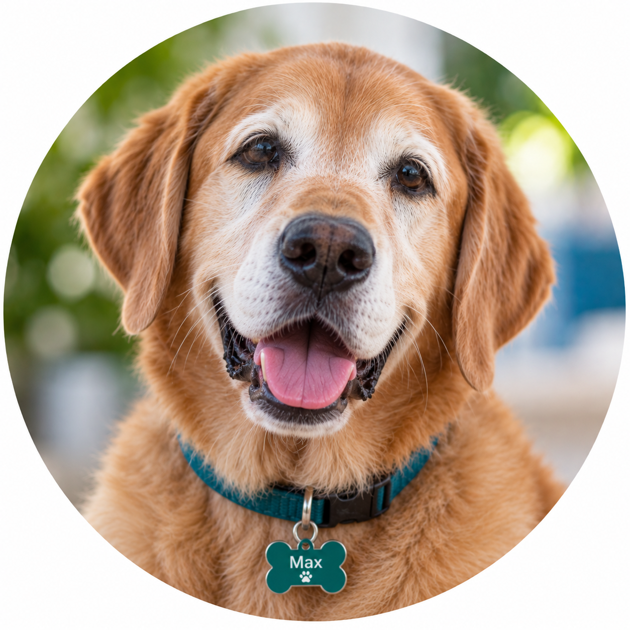 Max
